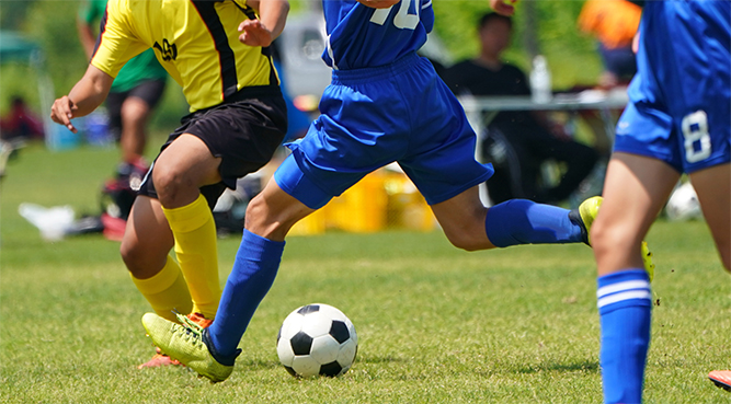 サッカー・野球・スポーツチーム